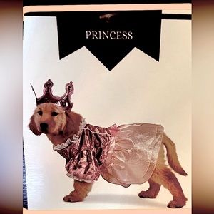 🆕 3/for $20 in a BUNDLE - Ministry of Rascals Pet Apparel